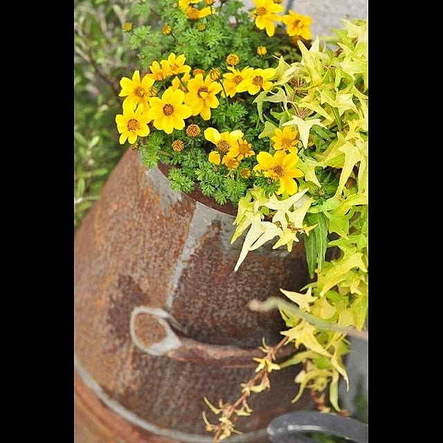 GreenWorksさんの実例写真