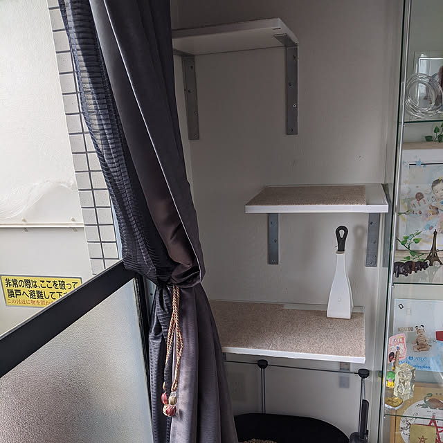 momoさんの実例写真