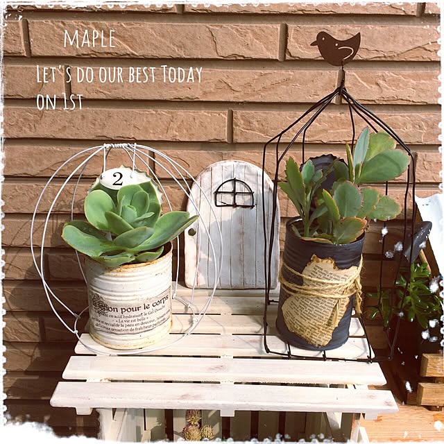 mapleさんの実例写真