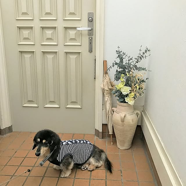 hiyo.pietさんの実例写真