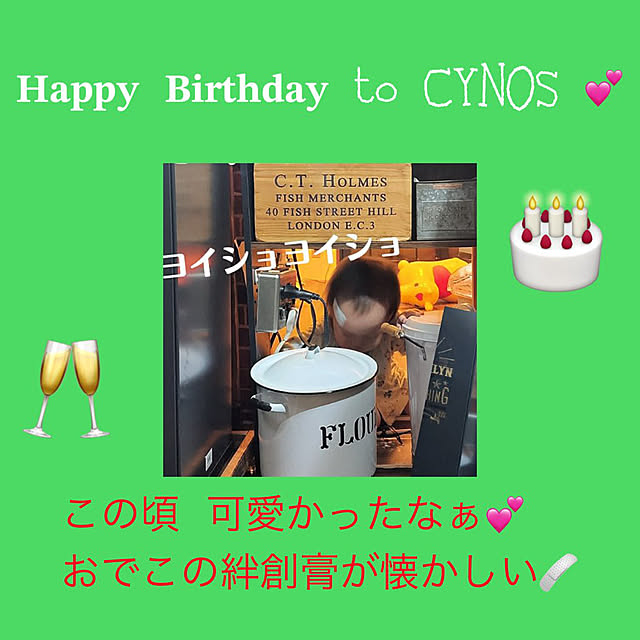 部屋全体/誕生日おめでとう♪/CYNOSちゃんのインテリア実例 - 2025-08-21 10:01:58