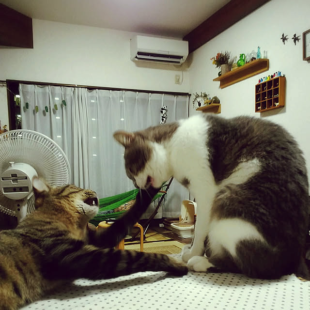 lovepandaさんの実例写真