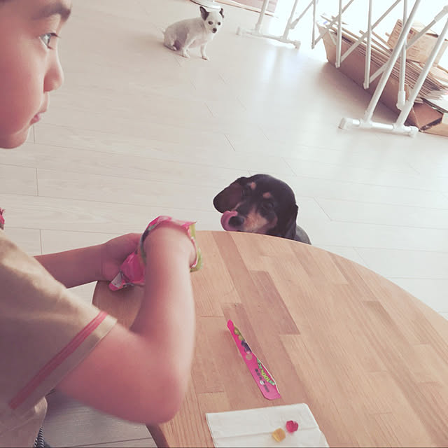 ohanaさんの実例写真