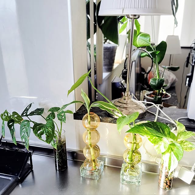 MOMOMAMAさんの部屋