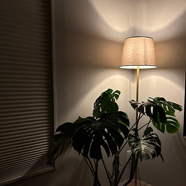 Miaさんの実例写真