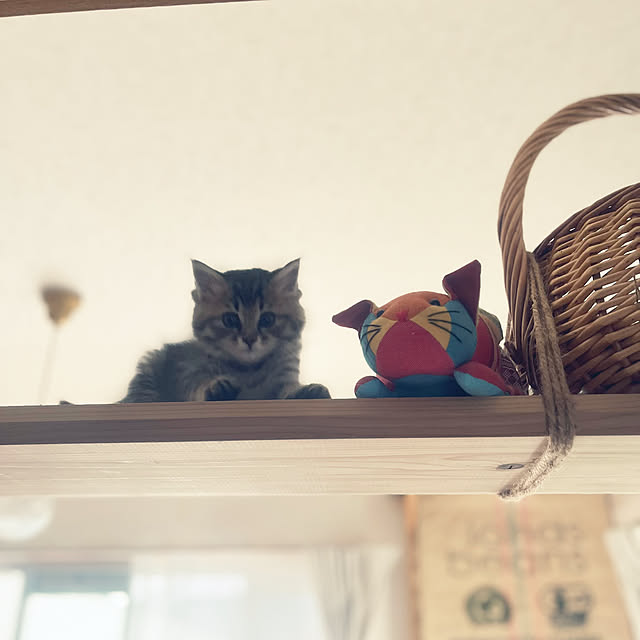 Mさんの部屋