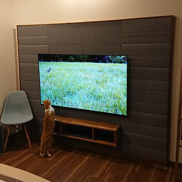 taka-kiさんの実例写真