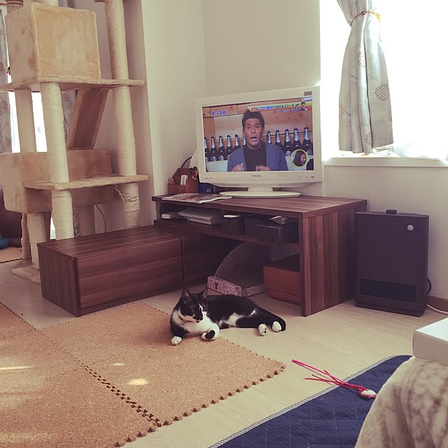 miruさんの実例写真