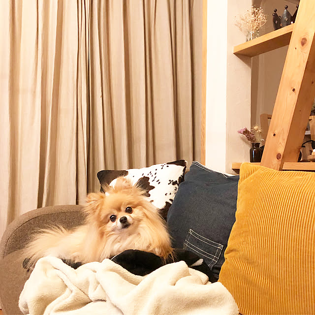naho81078さんの実例写真