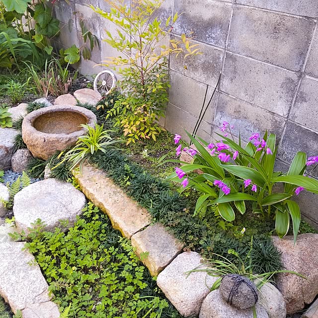 faunさんの部屋