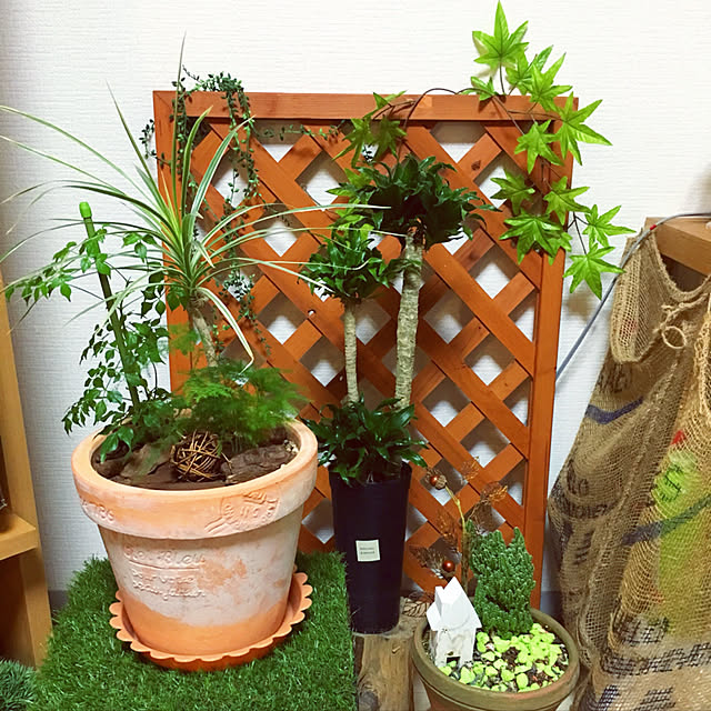 numaさんの実例写真