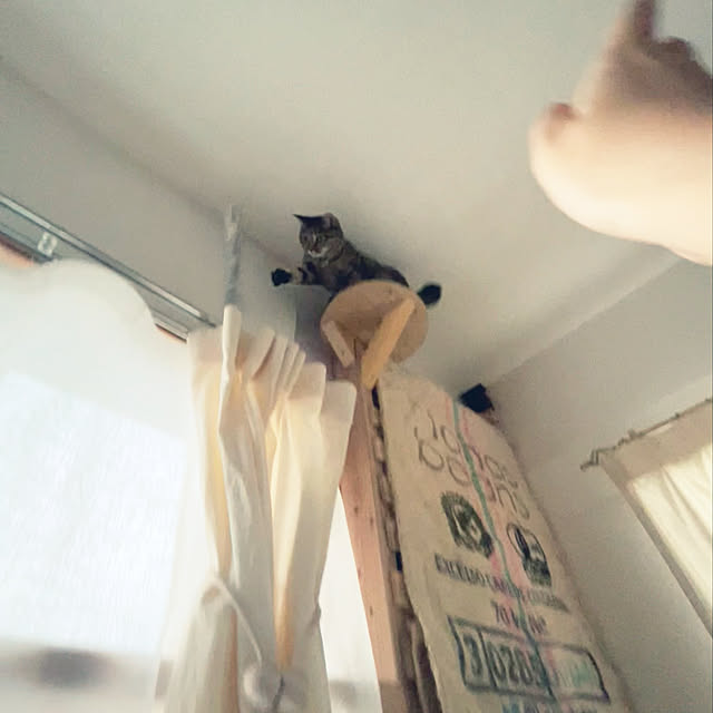 Mさんの実例写真