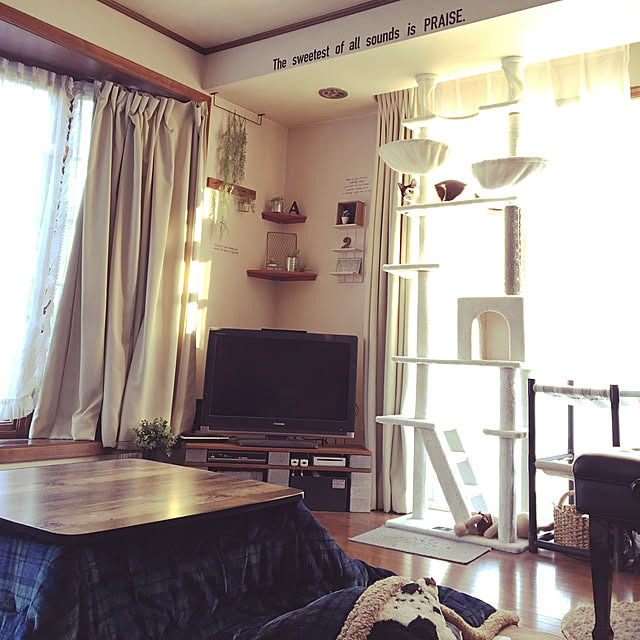 mahi1101さんの実例写真