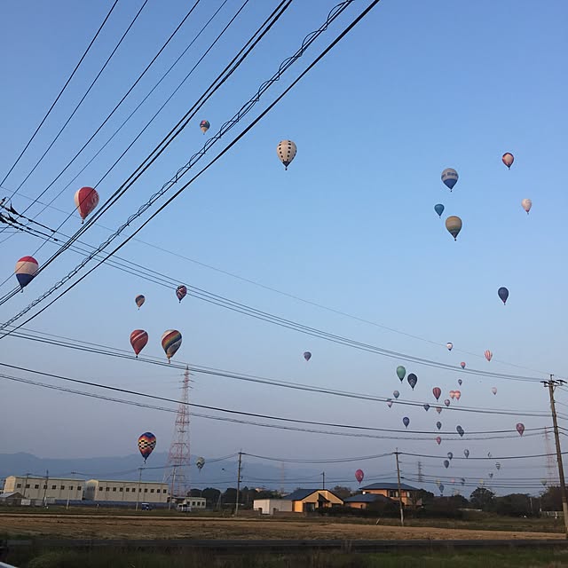 実例写真