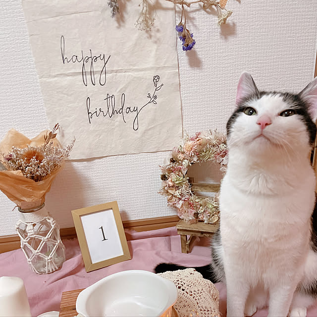 harukaさんの実例写真