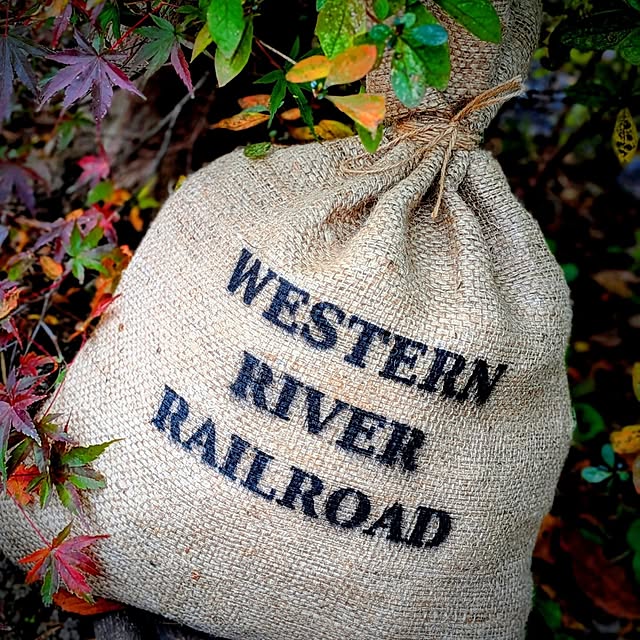 uchiさんの実例写真