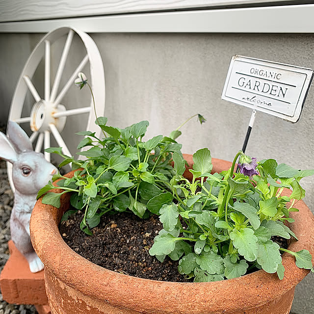 koko_hikaさんの部屋