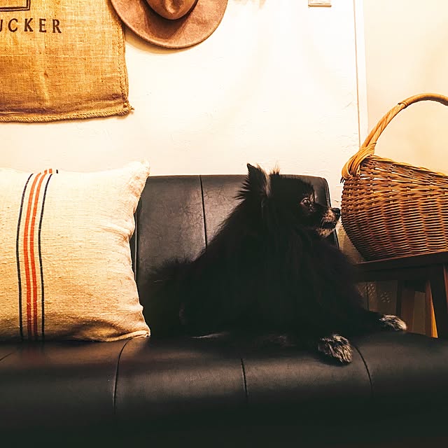 nanacloverさんの実例写真