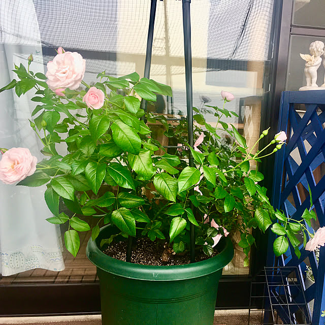 naokoさんの部屋