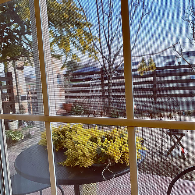 misacoさんの実例写真