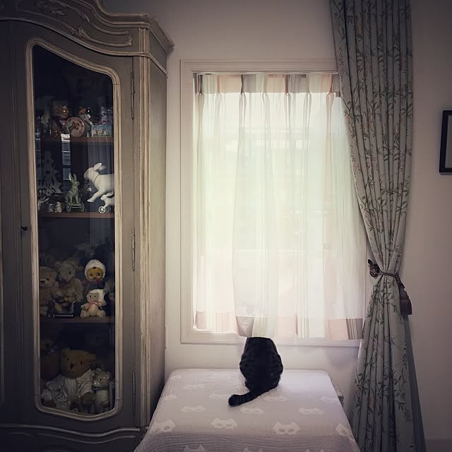 yuchiさんの実例写真