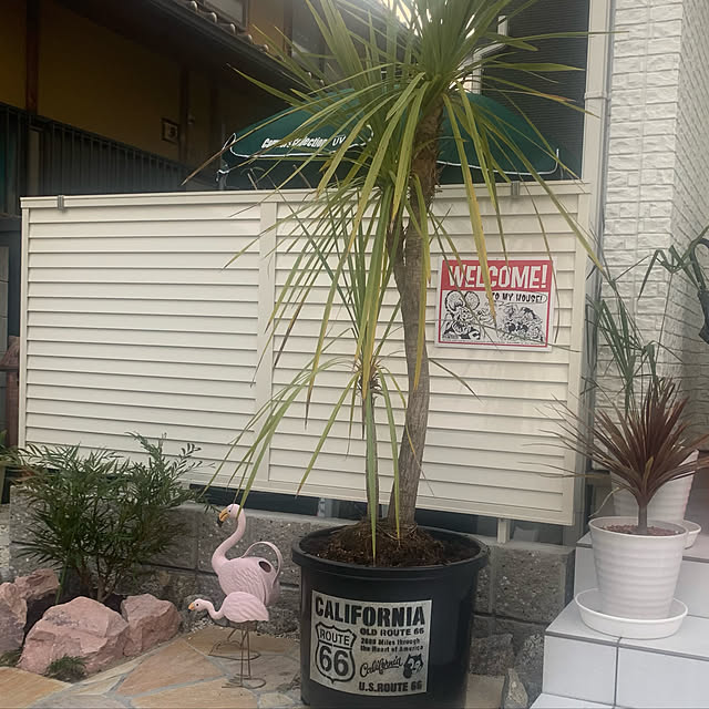 akiさんの実例写真