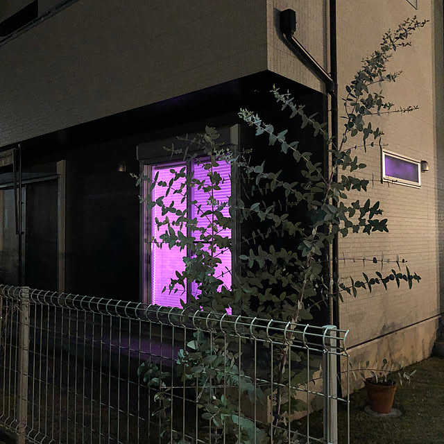 Denchanさんの部屋