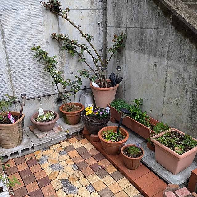 kazuさんの部屋