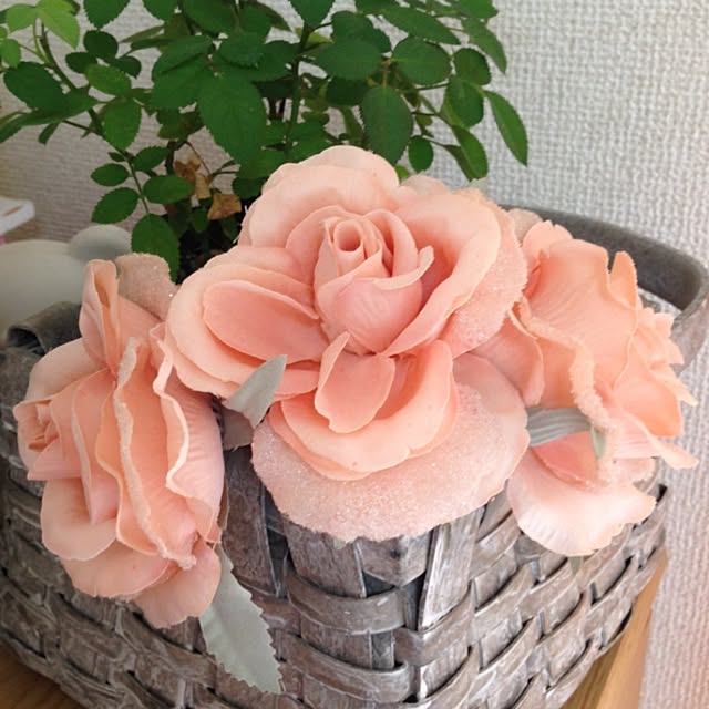 akさんの実例写真