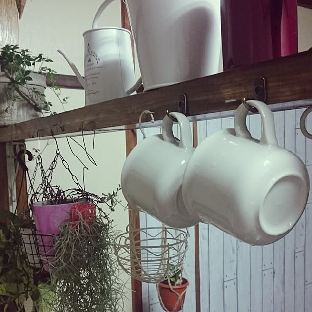 Ayumiさんの実例写真