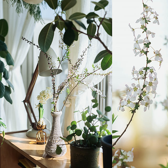 hinatabirdさんの実例写真