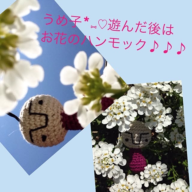 ponさんの実例写真