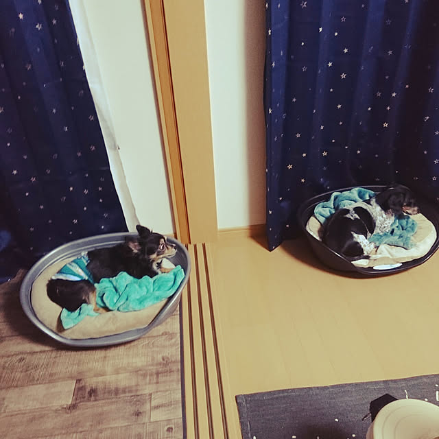 gonさんの実例写真