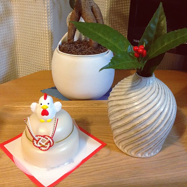 fumi.tさんの実例写真