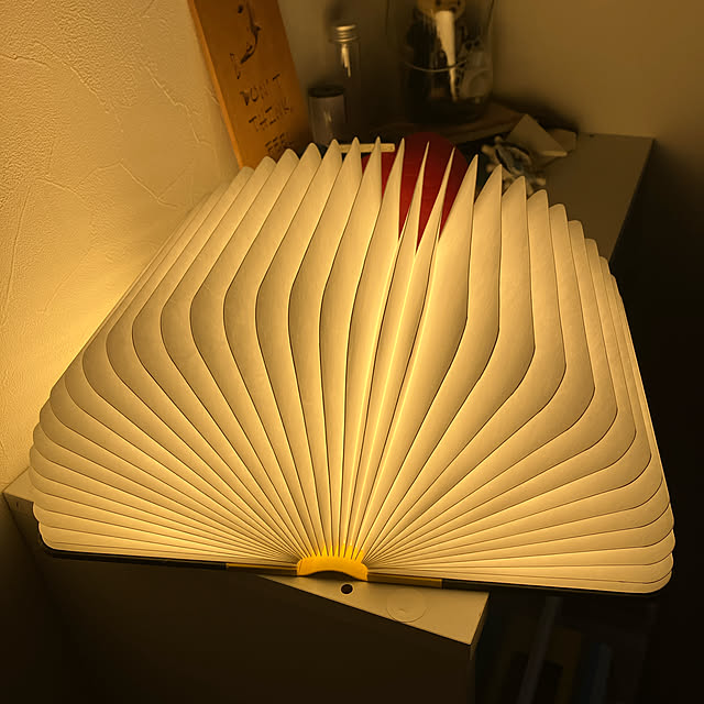 noaさんの実例写真