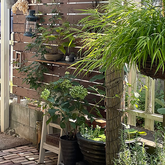 nobikoさんの部屋