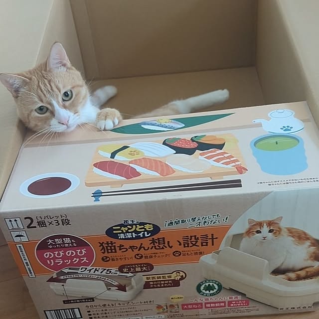 poteさんの部屋