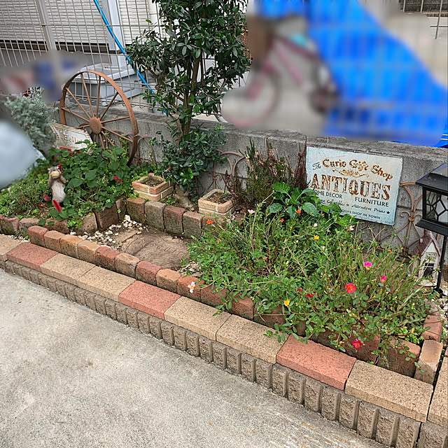 tabasaさんの実例写真