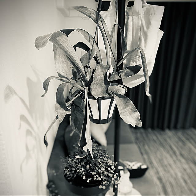 kskyamamoto0223さんの実例写真