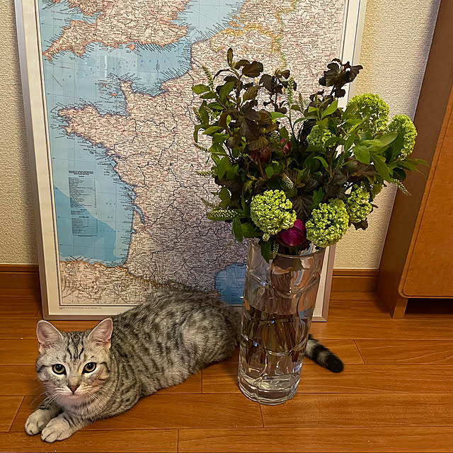 tomootyさんの実例写真