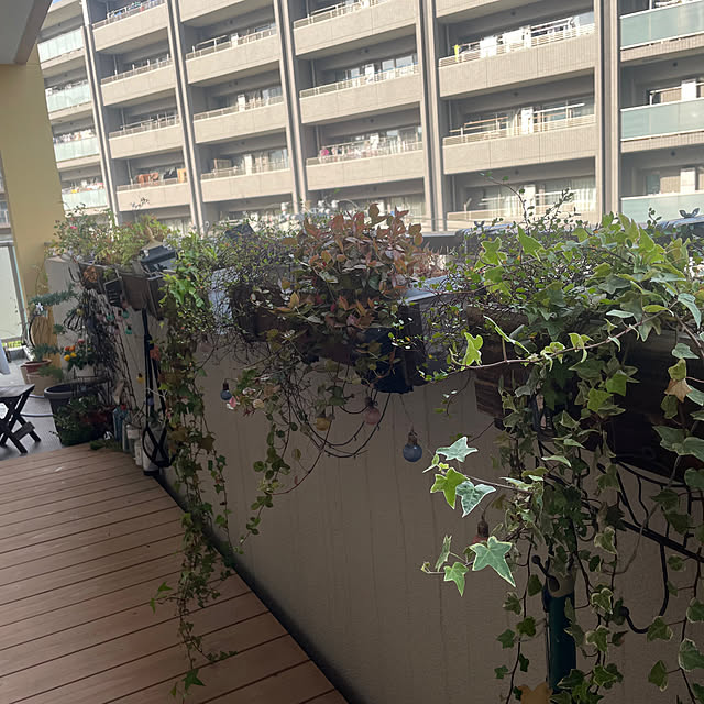 akiさんの部屋