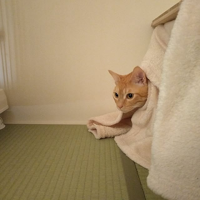 mayutan.さんの部屋