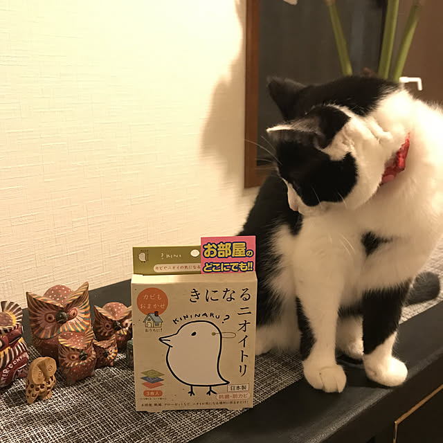icbさんの実例写真