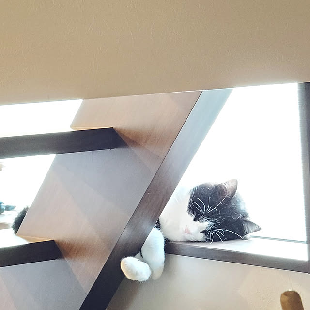 Yukoさんの実例写真
