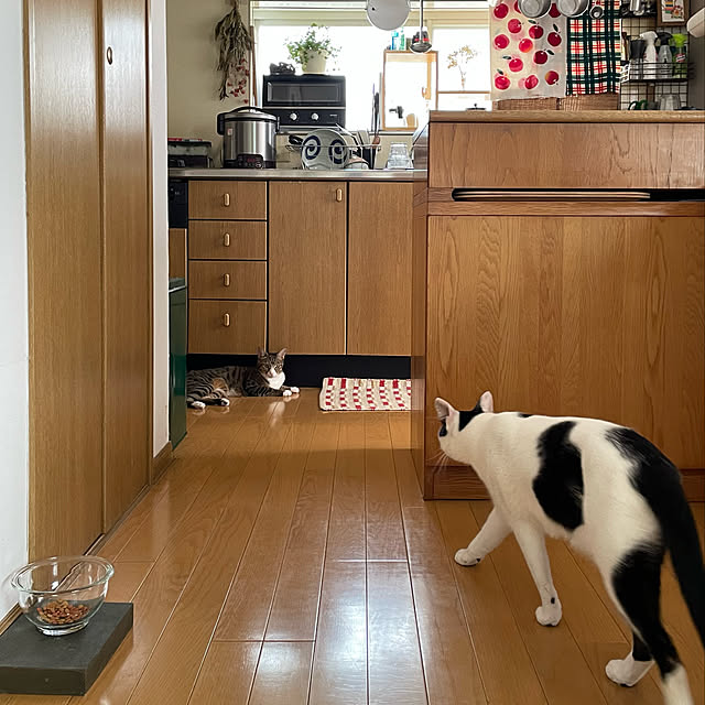nobikoさんの実例写真