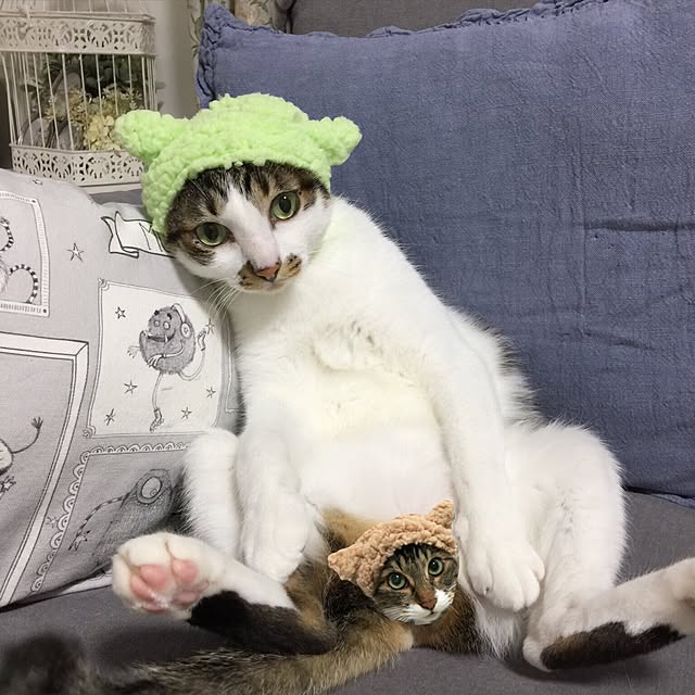 yuchiさんの実例写真