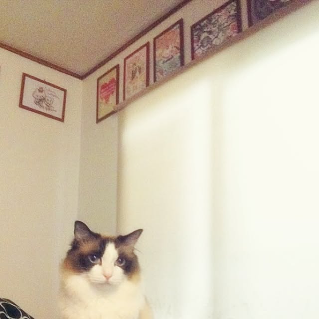 Marikoさんの実例写真