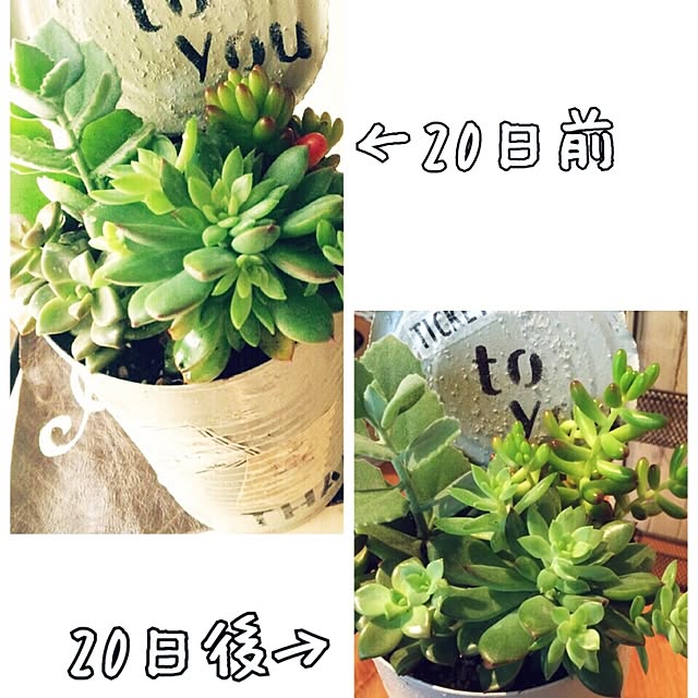 mt...lipさんの実例写真