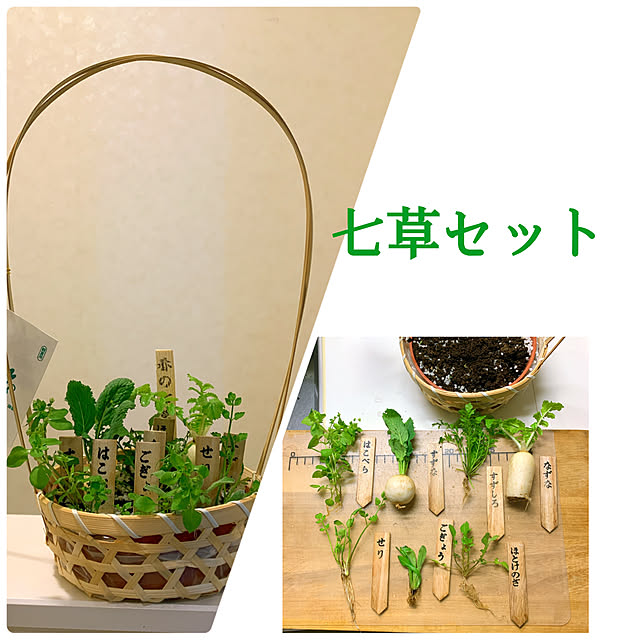 eshinobumさんの実例写真