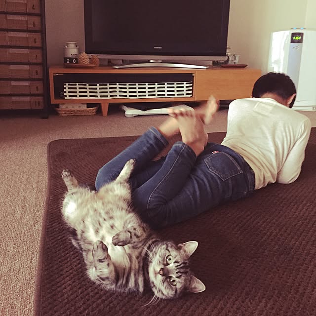 hiyupan88さんの実例写真